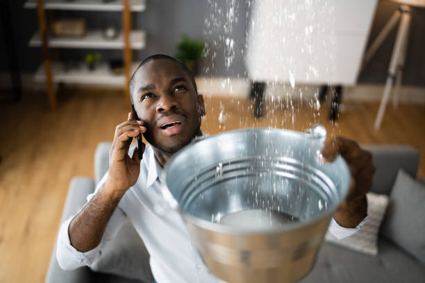 Best Local water damage restoration  in Gulfport, MS