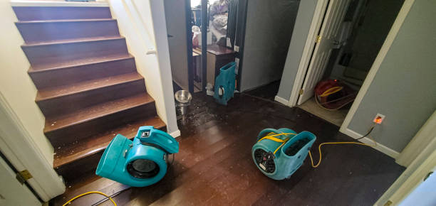 Best Water damage contractors near me  in Gulfport, MS
