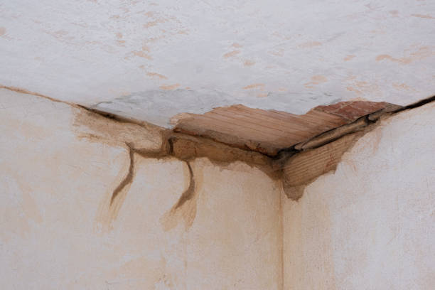 Best Water damage restoration near me  in Gulfport, MS