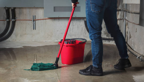 Best Professional water damage repair  in Gulfport, MS
