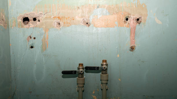 Best Basement water damage restoration  in Gulfport, MS