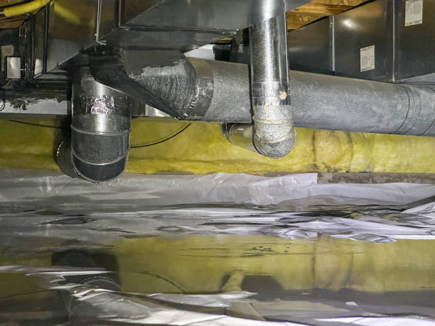 Best Flood damage cleanup  in Gulfport, MS
