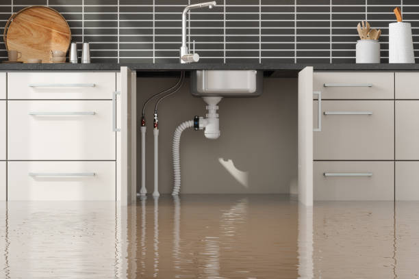 Best Professional water damage repair  in Gulfport, MS
