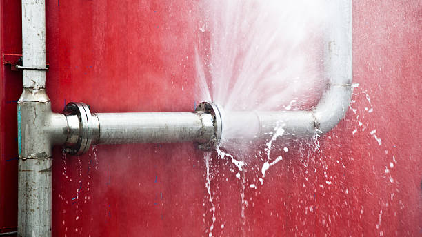 Best Carpet water damage restoration  in Gulfport, MS