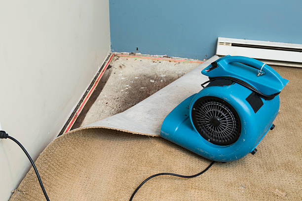  Gulfport, MS Water damage restoration Pros